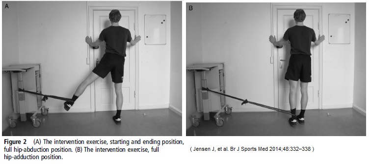 Preventing Groin Strains - Physiosteps